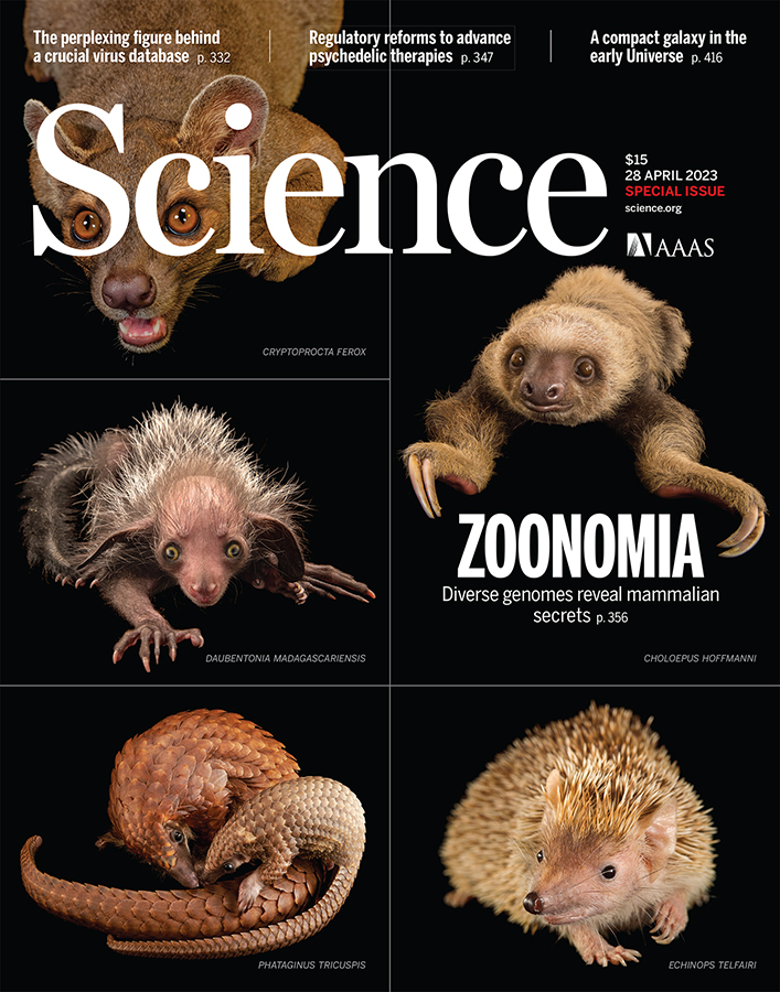  The April 2023 cover of Science shows five mammals, including a sloth and hedgehog, with the headline Zoonomia: Diverse genomes reveal mammalian secrets.